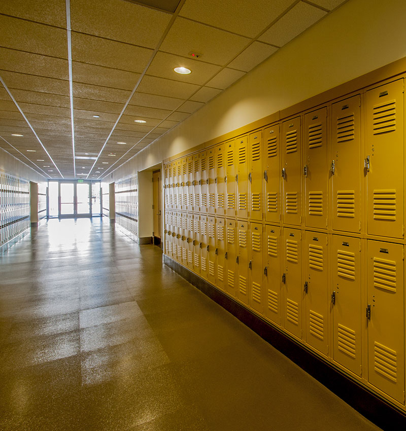 Custom-coloured powder-coated lockers demonstrating durable finishes for schools, institutions, and commercial facilities.