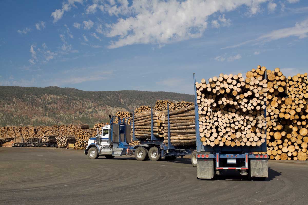 Forestry