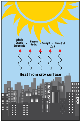 Heat Island
