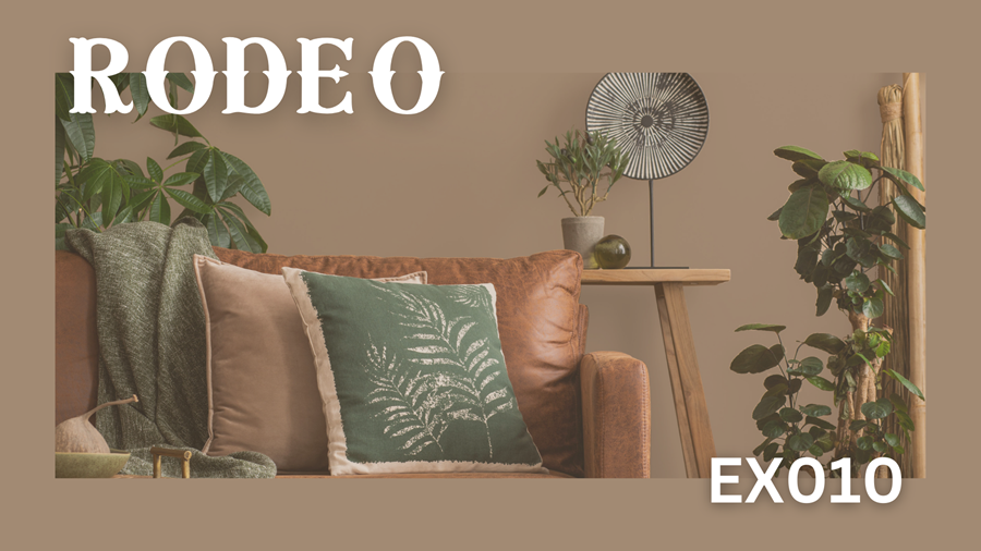 rodeo-banner